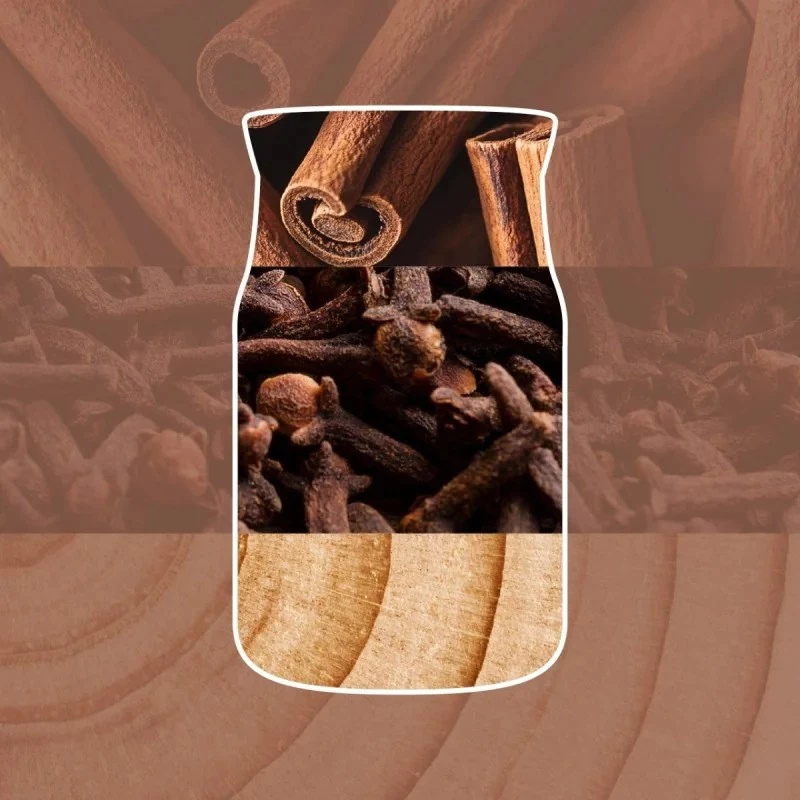 Yankee Candle Signature Cinnamon Stick grote potkaars 567g