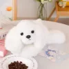 LEAN TOYS pluche maltezer hond met verzwaarde poten wit 30cm