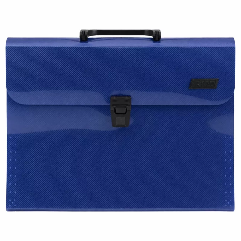 LEAN accordeon-organizer voor documenten, 13 vakken, blauw, A4