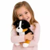 LEAN TOYS Pluchen speelgoed zachte hond om te knuffelen Berner Sennenhond 30x30 cm