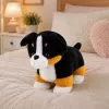 LEAN TOYS Pluchen speelgoed zachte hond om te knuffelen Berner Sennenhond 30x30 cm