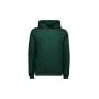 POC hooded sweatshirt groen unisex vrijetijdstrui