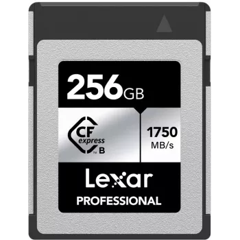 Lexar Professional CFexpress Type B geheugenkaart 256GB, Silver Series (LCXEXSL256G-RNENG)
