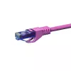 DSIT CAT6a U/UTP 30m roze netwerk-patchkabel, 100% koper, 10Gbps, RJ45