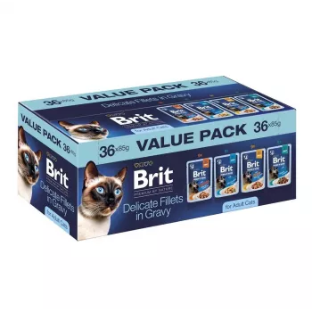 Brit Delicate Fillets in Gravy voor volwassen katten - gemengd vlees & vis, 36 x 85 g zakjes