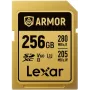 Lexar Professional ARMOR GOLD SDXC UHS-II geheugenkaart, 256 GB, V60 (LSDAMGL256G-RNNNG)