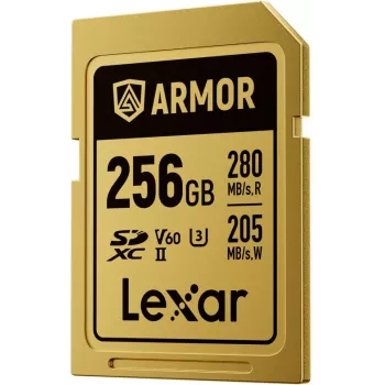 Lexar Professional ARMOR GOLD SDXC UHS-II geheugenkaart, 256 GB, V60 (LSDAMGL256G-RNNNG)