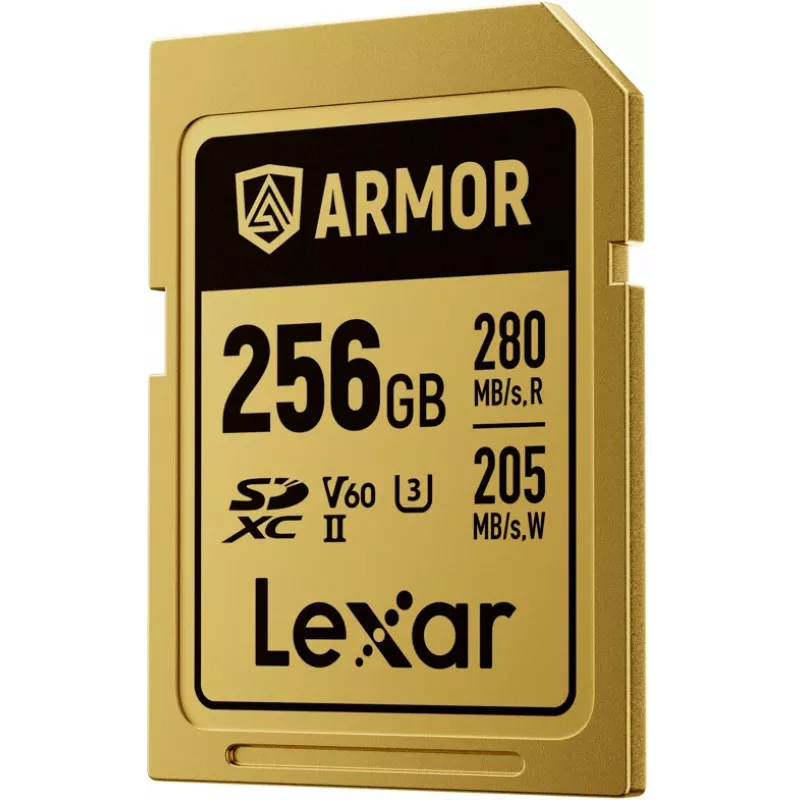 Lexar Professional ARMOR GOLD SDXC UHS-II geheugenkaart, 256 GB, V60 (LSDAMGL256G-RNNNG)