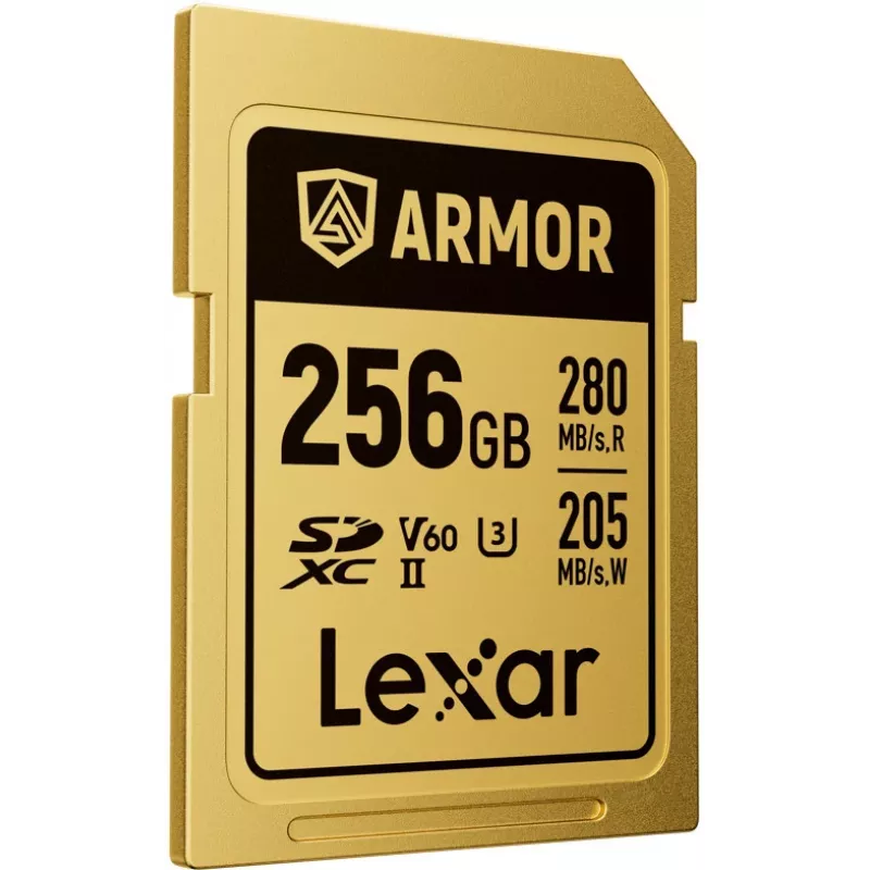 Lexar Professional ARMOR GOLD SDXC UHS-II geheugenkaart, 256 GB, V60 (LSDAMGL256G-RNNNG)