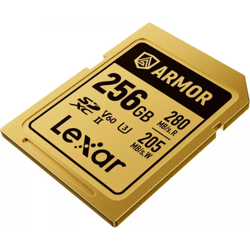 Lexar Professional ARMOR GOLD SDXC UHS-II geheugenkaart, 256 GB, V60 (LSDAMGL256G-RNNNG)