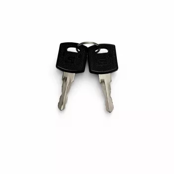 DSIT vervangende sleutelset voor buiten-serverrackdeuren (9U-22U) - 2 sleutels, DS-KEY-OUT-M
