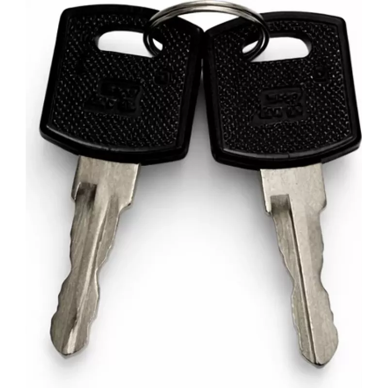 DSIT vervangende sleutelset voor buiten-serverrackdeuren (9U-22U) - 2 sleutels, DS-KEY-OUT-M