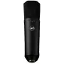 Warm Audio WA-87 R2 BL grootmembraan condensatormicrofoon - nikkel