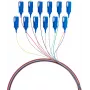 EFB Elektronik glasvezel-pigtail SC 9/125 OS2 12-kleurenset 2m - singlemode kabel/adapter set
