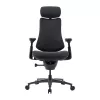 LiberNovo Omni Pro 48 cm ergonomische stoel (grafiet)