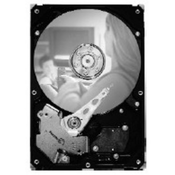 SEAGATE 250GB 3,5 inch ST3250820SCE SATA
