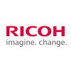 Ricoh D1583890 (D158-3890) elektrodenplaat: scheiding