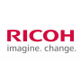 Ricoh D0623100 (D062-3100) afdichting: trommel: achter