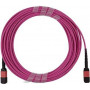 BlueOptics Dell GVQNLZ6 MPO-MPO Multimode-OM4-patchkabel 5 meter
