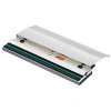 TSC printkop - 203 dpi voor MH241-serie