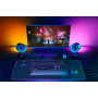 Razer luidspreker RZ05-04740100-R3G1 / Nommo V2 Pro zwart