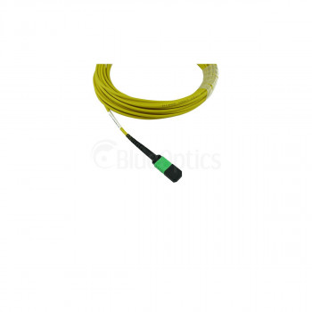 BlueOptics UACC-OFC-SA-MPMP-5M compatibele MPO-MPO singlemode OS2-patchkabel 5 meter