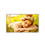 LG 50UL5Q-M - 50 inch Standaard Mid UHD Beeldscherm - 127 cm - 50
