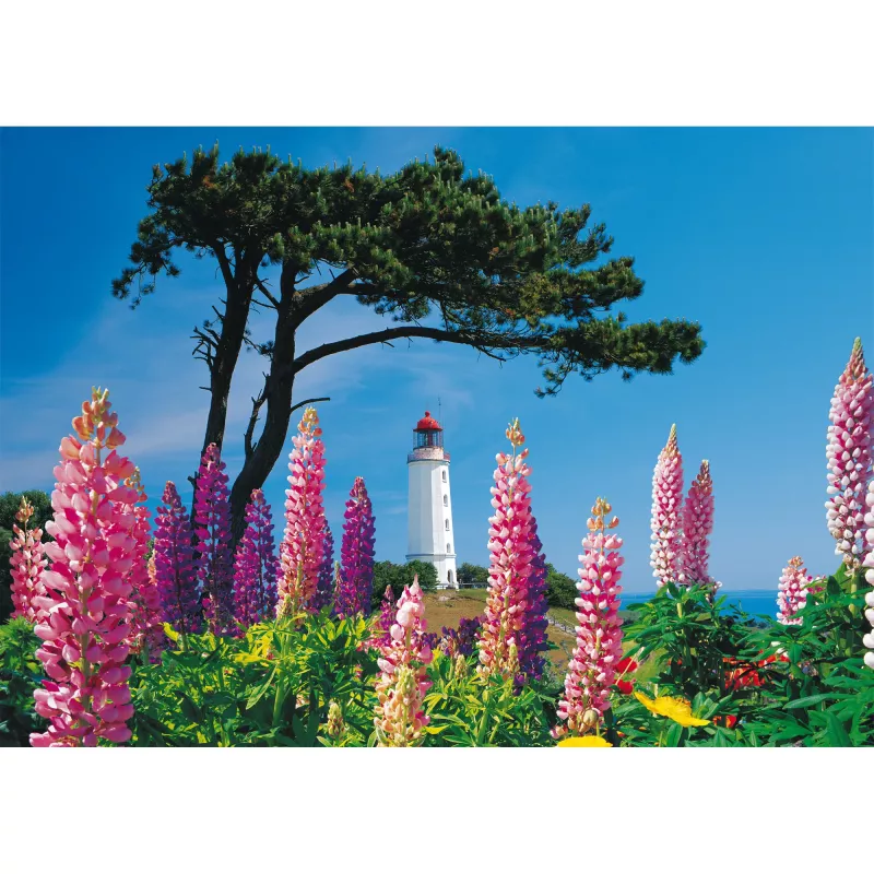 Schmidt Spiele Dornbusch Leuchtturm, Hiddensee puzzel van 1000 stukjes