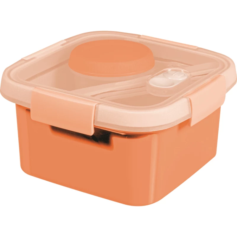 CURVER Lunch Kit Square 1,1L Smart To Go Mix vershouddoos