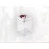 LEIFHEIT Fresh&Easy luchtdichte levensmiddelencontainer 1,6L, BPA-vrij, transparant met groen deksel
