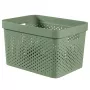 CURVER Infinity Recycled Box 17L 36x27x22cm groen