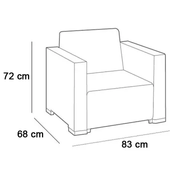 KETER tuinstoelen 2 stuks California grijs