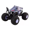 LEAN TOYS grote op afstand bestuurbare offroad-auto 2,4G RC 1:6 Shark