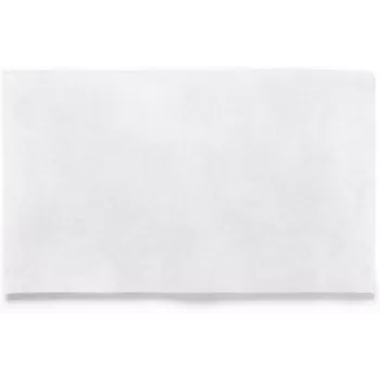 RAYEN Filter voor afzuigkap 45x54cm