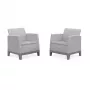 KETER tuinstoelen 2 stuks Scandi Form lichtgrijs/donkerstaalgrijs