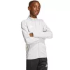 adidas Entrada 26 Track kindersweatshirt lichtgrijs JZ6610 128cm