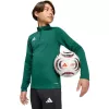 adidas Entrada 26 trainingsshirt kindersweatshirt groen KE9825 140cm