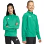 adidas Entrada 26 trainingsshirt kinderen groen JZ6632 140cm