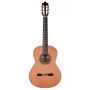 Prodipe Guitars Recital 300 4/4 - klassieke gitaar