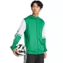 Heren adidas Squadra 25 Hoody sweatshirt groen en wit JP3164 M