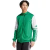 Heren adidas Squadra 25 Hoody sweatshirt groen en wit JP3164 M