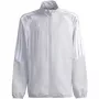 Kindersweatshirt adidas Tiro 26 League Presentation lichtgrijs JZ9053 164cm