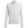 Kinderen sweatshirt adidas Tiro 26 League Training lichtgrijs JY7198 140cm