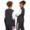 Kinder sweatshirt adidas Squadra 25 Sweat Crew zwart JE2773 164cm