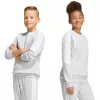 Kinderen sweatshirt adidas Tiro 26 League Sweat Crew grijs KF5823 140cm