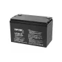 VIPOW gel-accu 12V 100Ah
