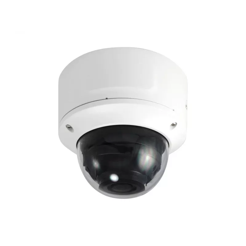LevelOne FCS-4203 2MP outdoor dome IP-beveiligingscamera met H.265, PoE en audio