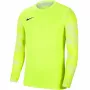 Nike Dry Park IV JSY LS GK Junior lime keepersweatshirt CJ6072 702 XS