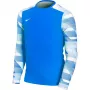 Nike Dry Park IV JSY LS GK junior keeper sweatshirt Royal Blue CJ6072 463 XL