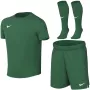 Nike Dri-FIT Park VIII sportset voor peuters, groen, HV8260 302, maat S